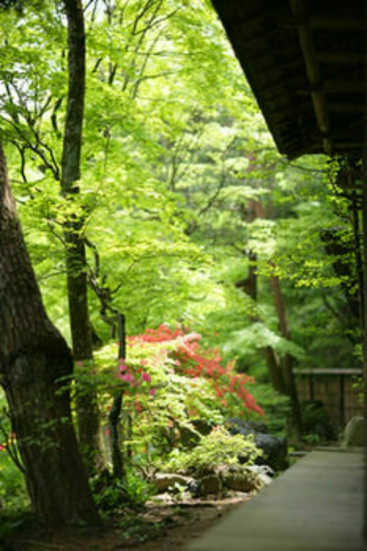 Sekizenkan Kashotei Sanso Nakanojo Bagian luar foto